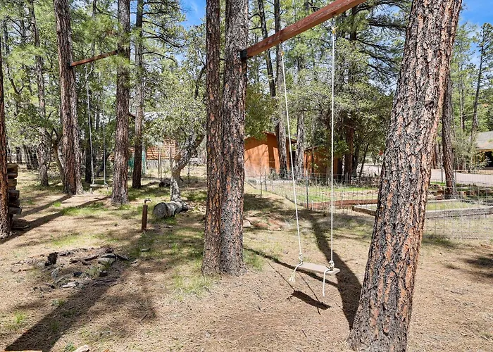 Forest Views & Fire Pit: Cozy *