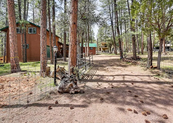 Dom wakacyjny Forest Views & Fire Pit: Cozy